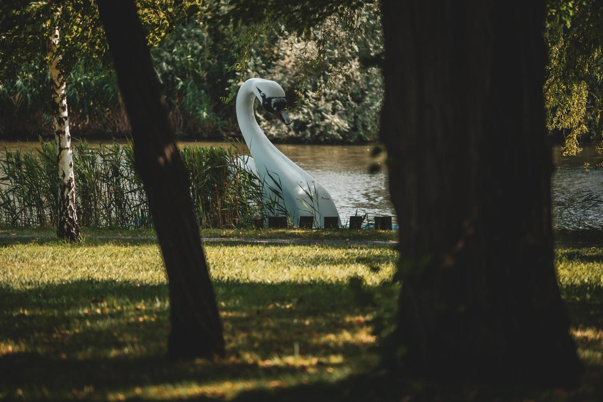 Hercegasszony Birtok Mezotur Esterno foto